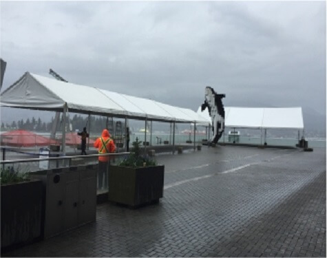 Marquee, Frame or Clear-Span